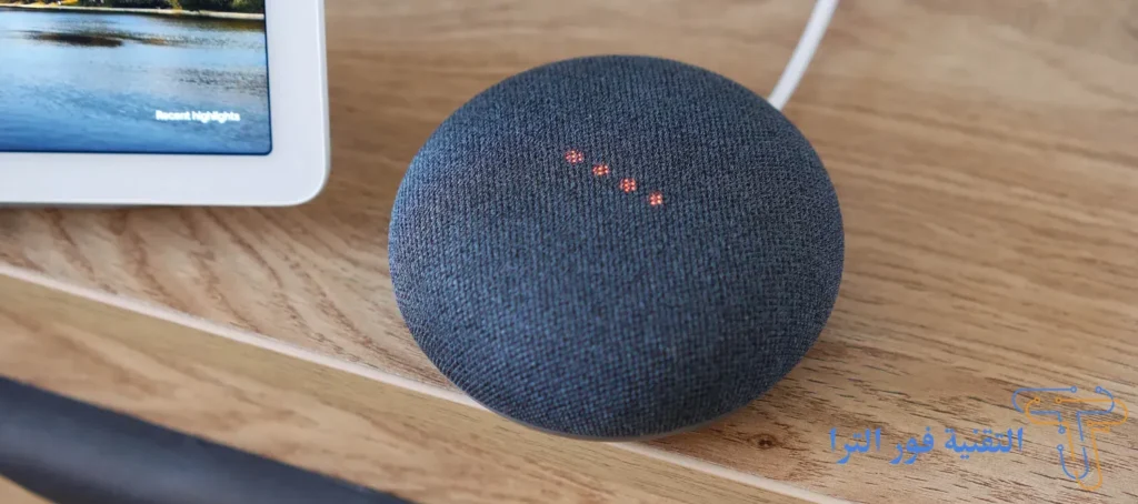 Google Nest Mini Charcoal
